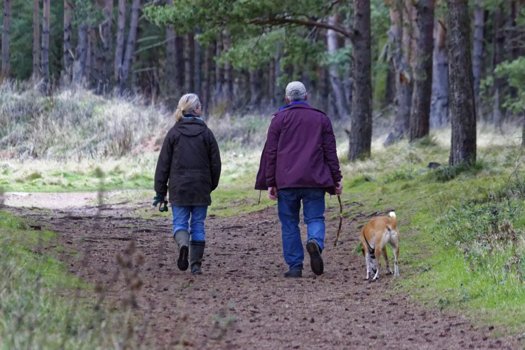 מסלולים מומלצים לטיול עם הכלב בטבע